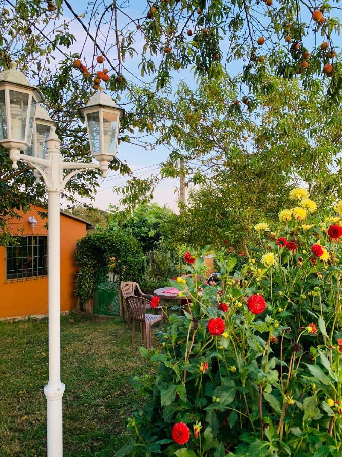 Vivienda Vacacional El Majo Siero Екстериор снимка
